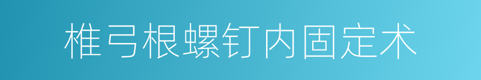 椎弓根螺钉内固定术的同义词