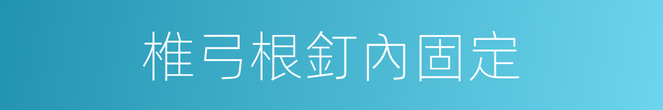 椎弓根釘內固定的同義詞