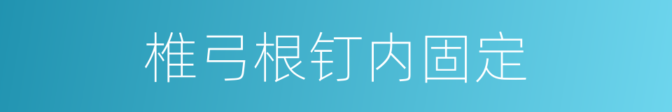 椎弓根钉内固定的同义词