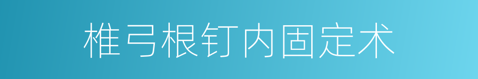 椎弓根钉内固定术的同义词