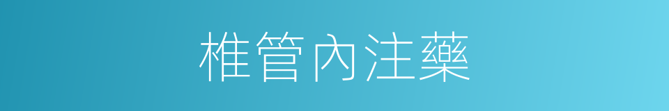 椎管內注藥的同義詞