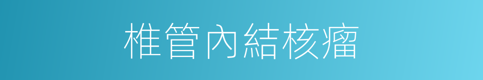 椎管內結核瘤的同義詞
