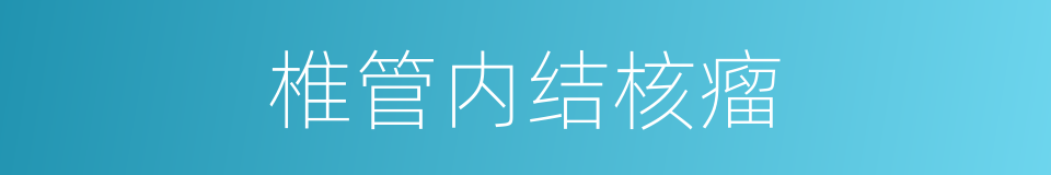 椎管内结核瘤的同义词