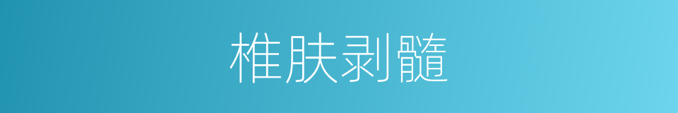 椎肤剥髓的意思