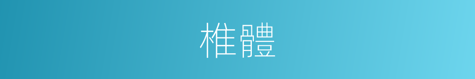 椎體的意思