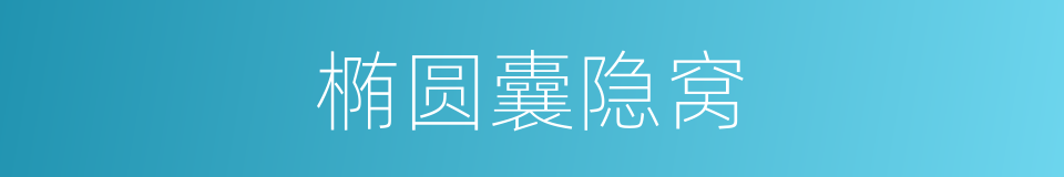 椭圆囊隐窝的同义词