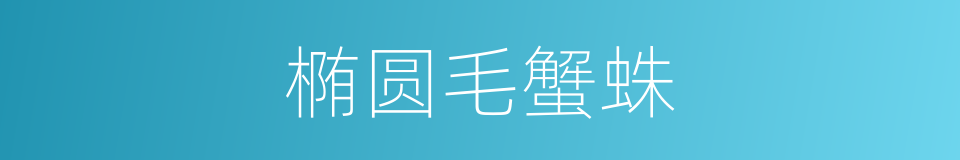 椭圆毛蟹蛛的同义词