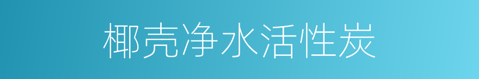 椰壳净水活性炭的同义词