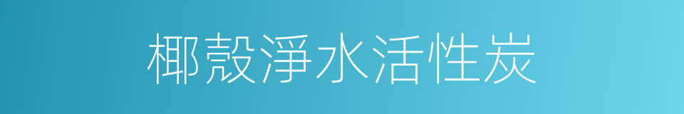 椰殼淨水活性炭的同義詞