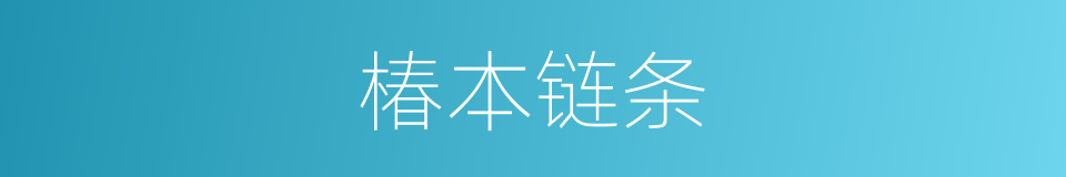椿本链条的同义词