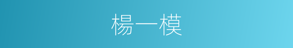 楊一模的同義詞