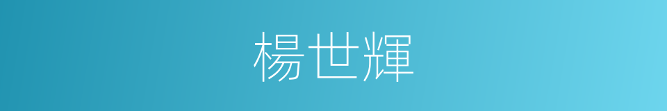 楊世輝的同義詞