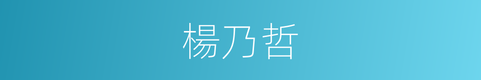 楊乃哲的同義詞