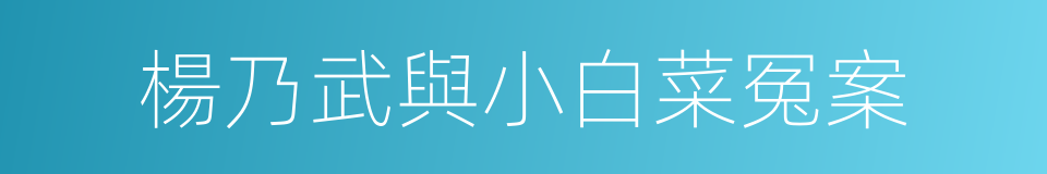 楊乃武與小白菜冤案的同義詞