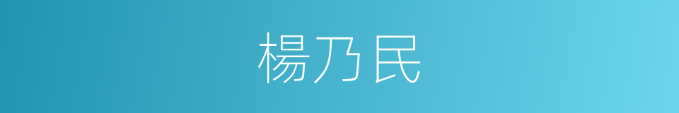 楊乃民的同義詞