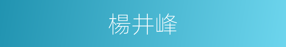 楊井峰的同義詞