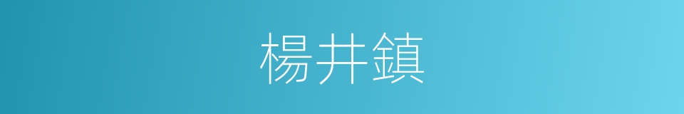 楊井鎮的同義詞