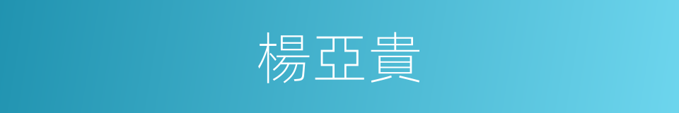 楊亞貴的同義詞