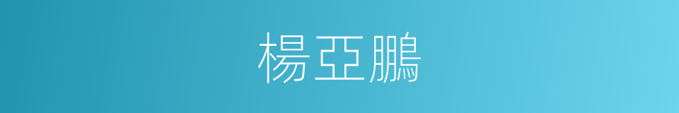 楊亞鵬的同義詞