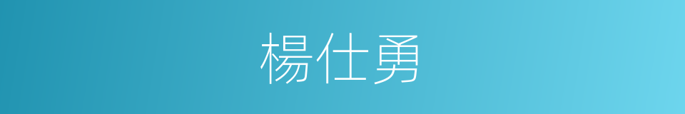 楊仕勇的同義詞