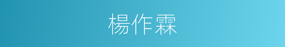 楊作霖的同義詞
