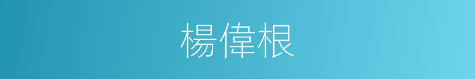 楊偉根的同義詞