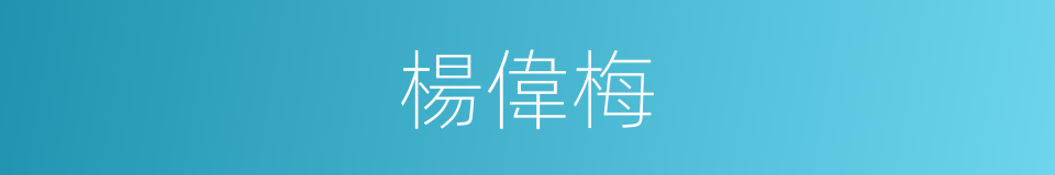 楊偉梅的同義詞