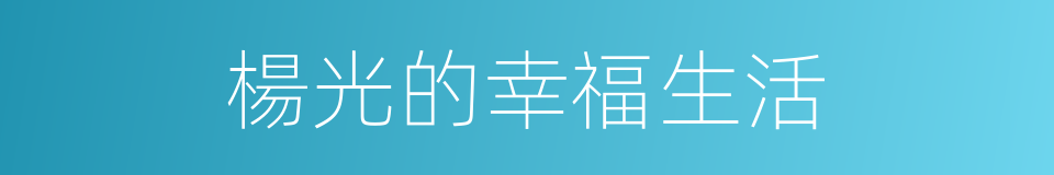 楊光的幸福生活的同義詞