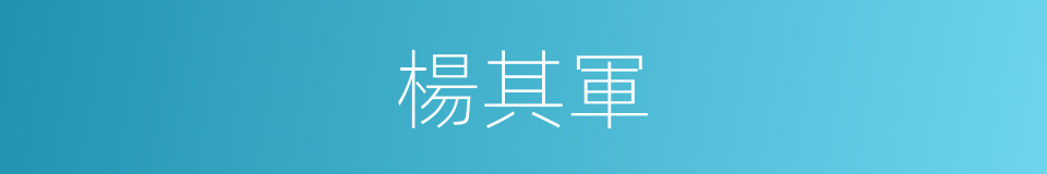 楊其軍的同義詞