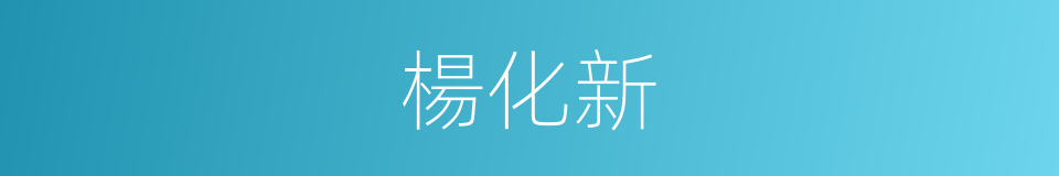 楊化新的同義詞