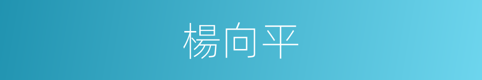 楊向平的同義詞