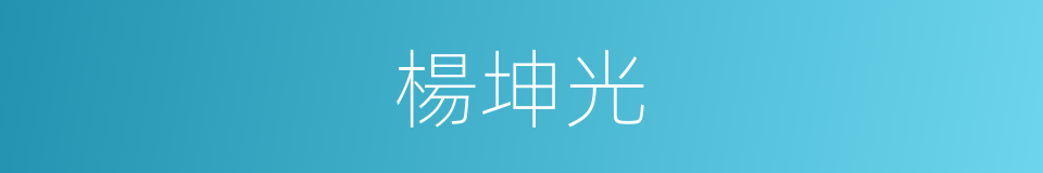 楊坤光的同義詞