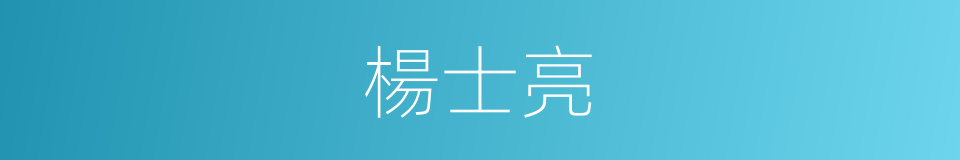 楊士亮的同義詞