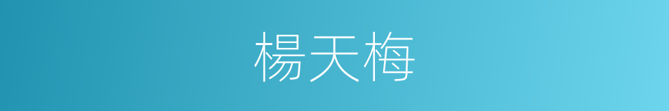 楊天梅的同義詞