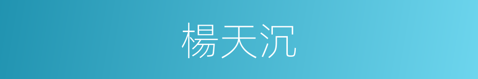 楊天沉的同義詞