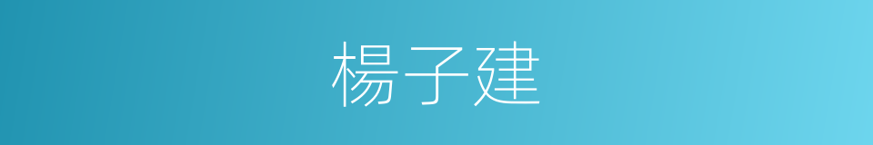 楊子建的同義詞