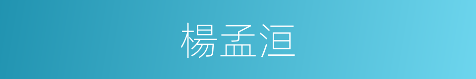 楊孟洹的同義詞