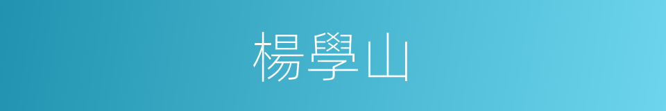 楊學山的同義詞