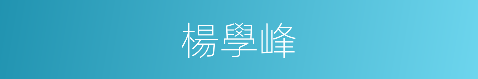 楊學峰的同義詞