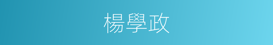 楊學政的同義詞