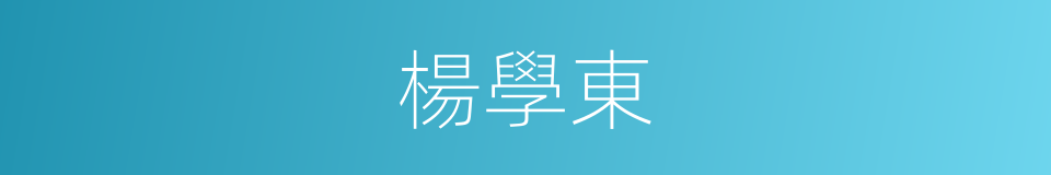 楊學東的同義詞