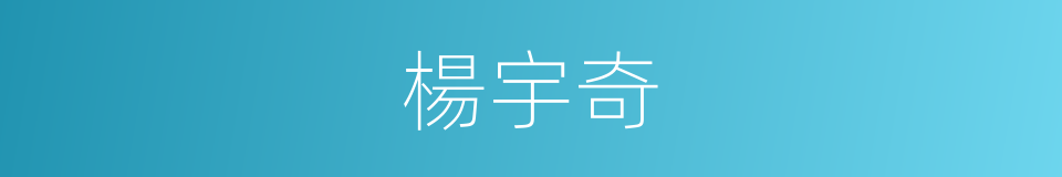 楊宇奇的同義詞