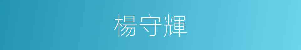 楊守輝的同義詞
