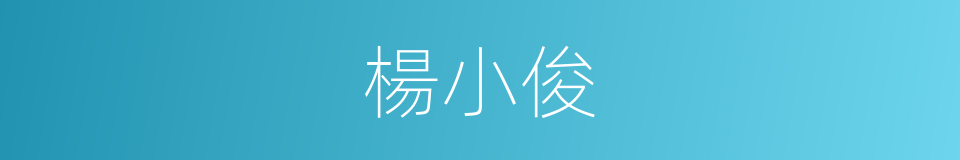 楊小俊的同義詞