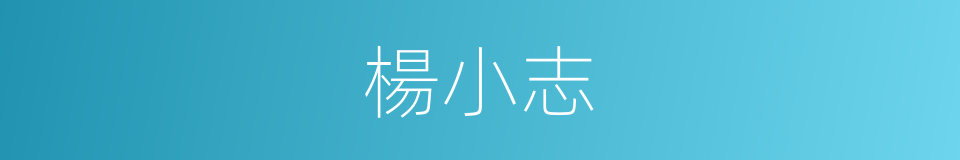 楊小志的同義詞