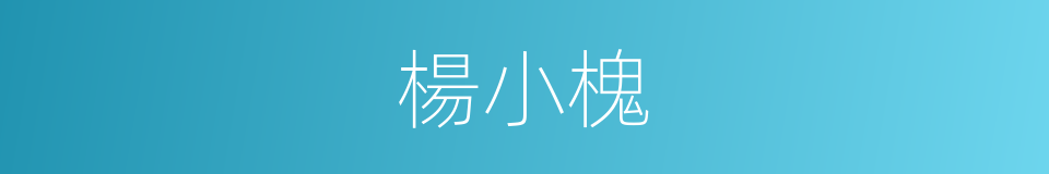 楊小槐的同義詞