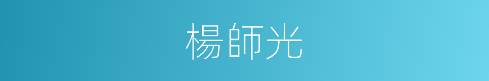 楊師光的同義詞