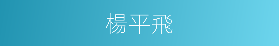 楊平飛的同義詞