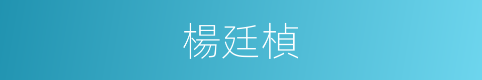 楊廷楨的同義詞