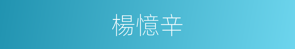 楊憶辛的同義詞